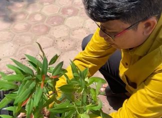 MIN 10 Asahan Berpartisipasi dalam Program Ekoteologi Gagas Menteri Agama RI, Delapan PPPK Siap Sambut Pelantikan di 2025