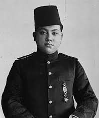 Sultan Syarif Kasim II: Sang Pembaharu dan Pejuang Kemerdekaan dari Tanah Melayu