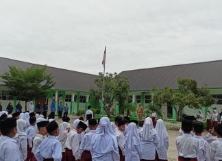 Kepala Desa Pertahanan Jadi Pembina Upacara Peringatan Hari Pahlawan di MIN 7 Asahan