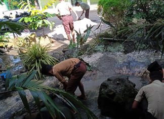 Siswa MTs Almanaar Antusias “Bongkar Kolam”, Belajar Wirausaha dan Ekosistem Secara Langsung
