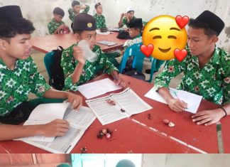 Pembelajaran IPA Kelas IX MTsS Bary Tarbiyah: Mengenal Monokotil dan Dikotil Melalui Pengamatan Biji